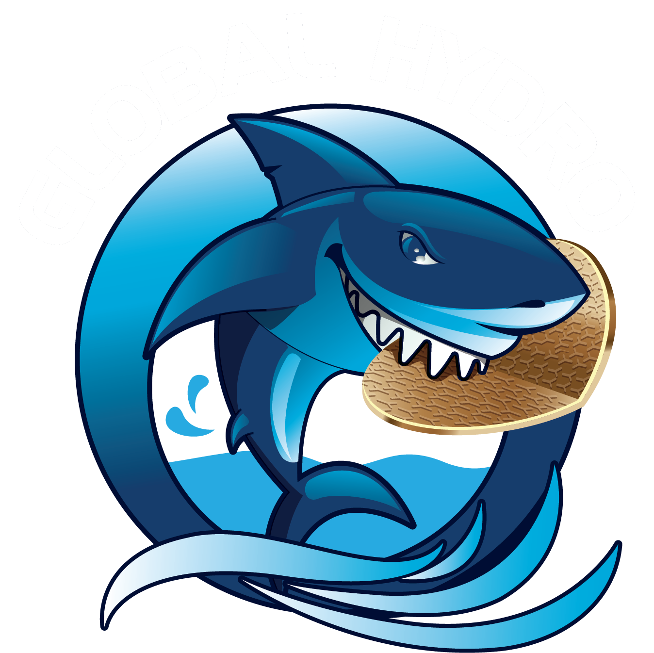 Global Hydro | L'assainissement polyvalent en Ile-de-France