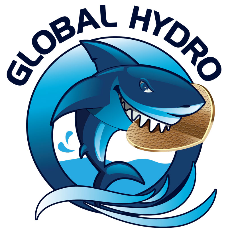 Global Hydro | L'assainissement polyvalent en Ile-de-France